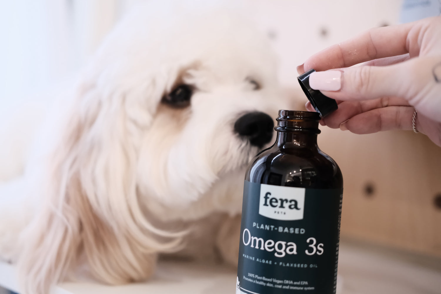 寵物健康|為什麼我們選擇 Fera Pets 純素海藻油?