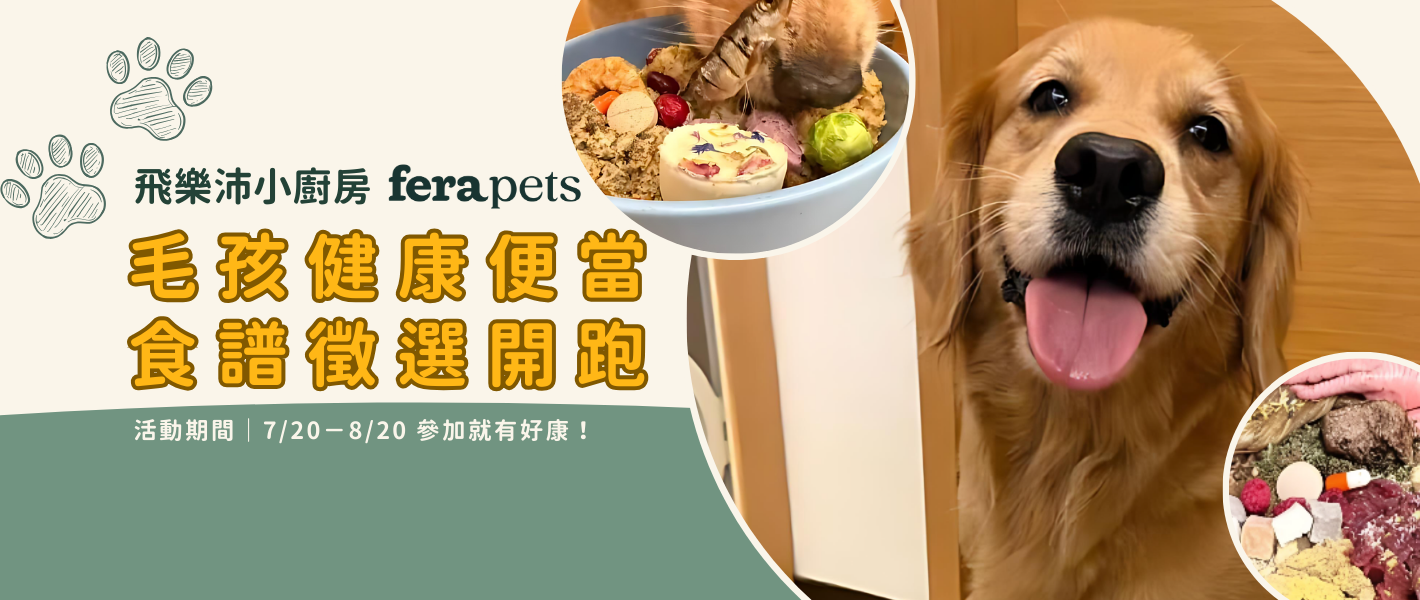 毛派派專屬活動【飛樂沛小廚房🍱】開張啦✨