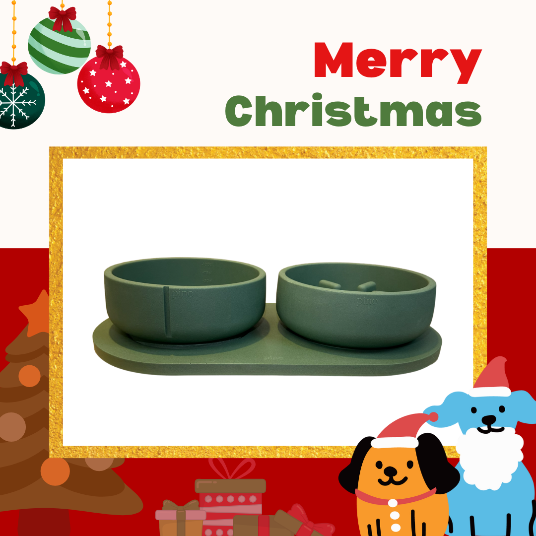 PINO聖誕組合|主食碗+慢食碗+托盤(鴨綠M)