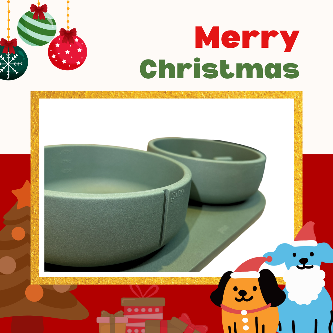 PINO聖誕組合|主食碗+慢食碗+托盤(鴨綠M)