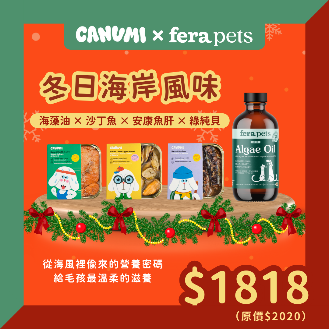 冬日海岸風味組