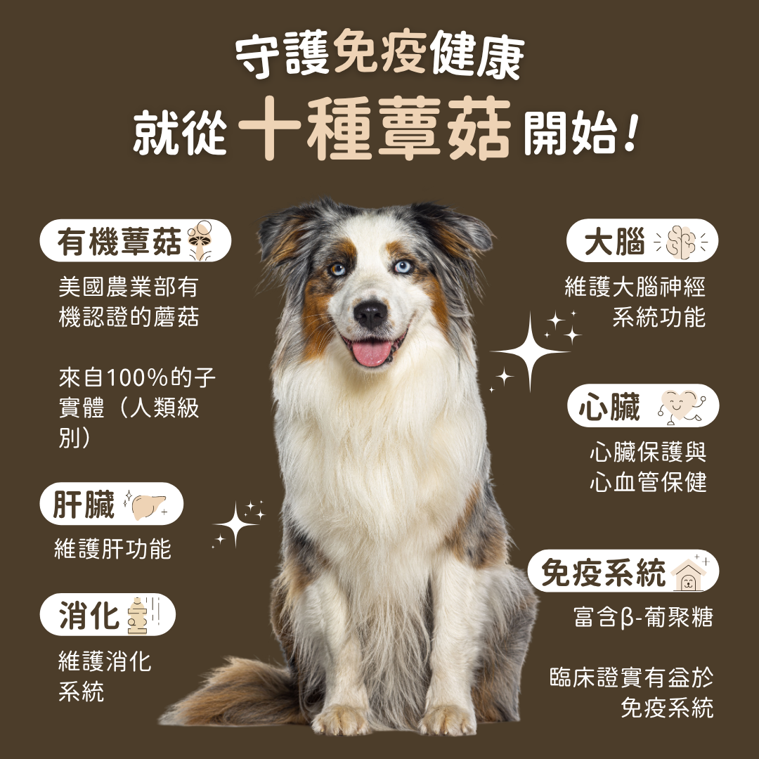 USDA Organic 有機十全蕈菇免疫調節 (犬貓專用)