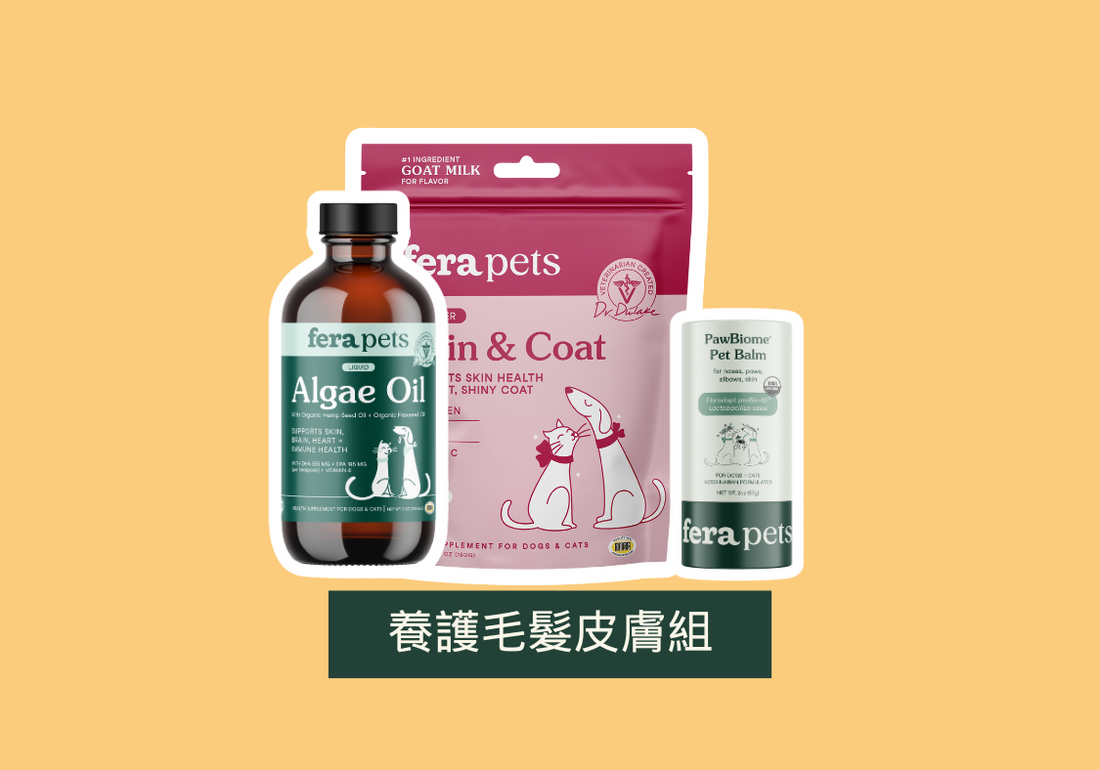 「養護毛髮皮膚組」