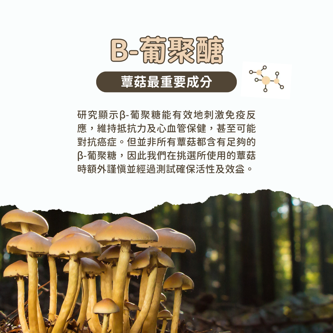 USDA Organic 有機十全蕈菇免疫調節 (犬貓專用)