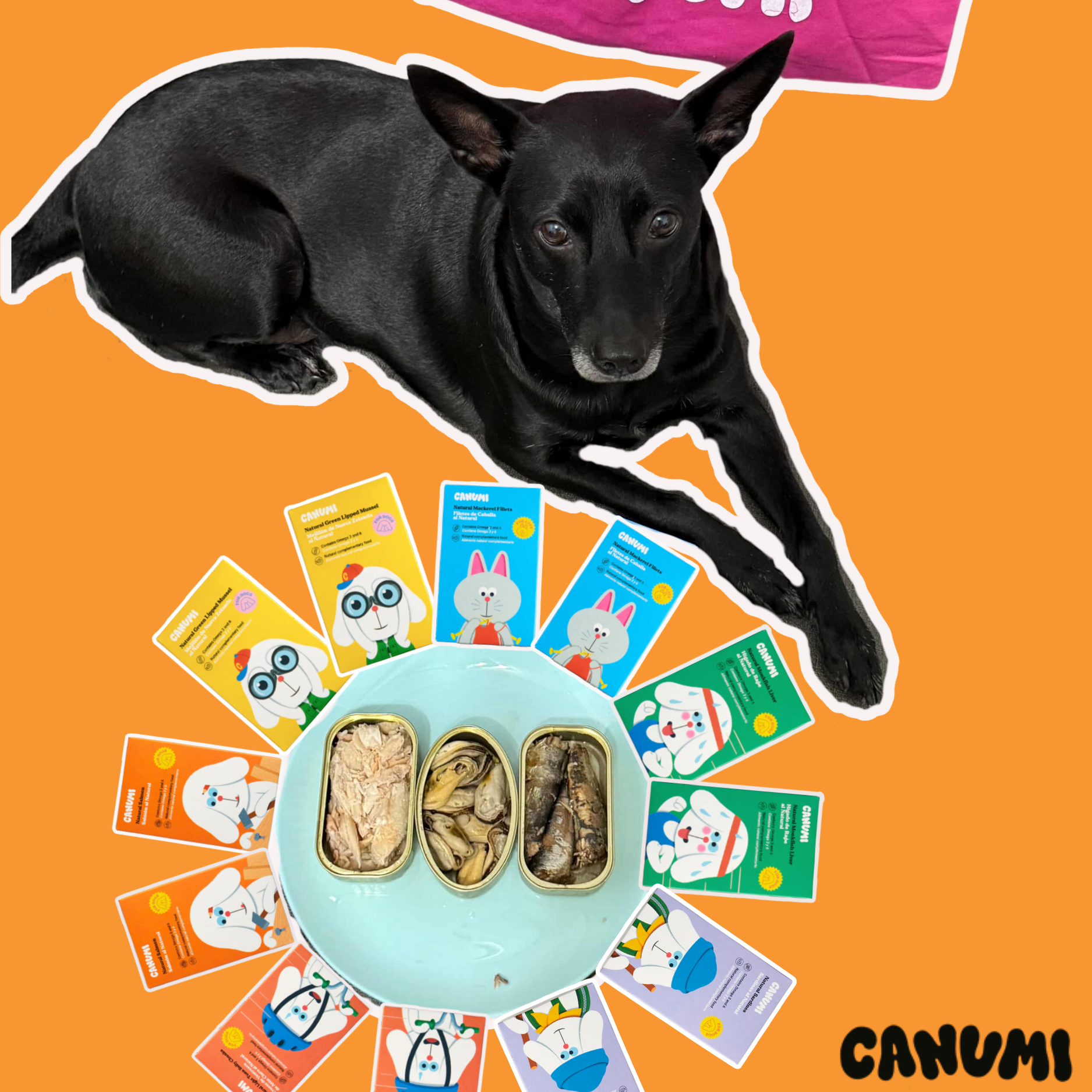 ✦馬雞推薦海鮮澎湃組✦