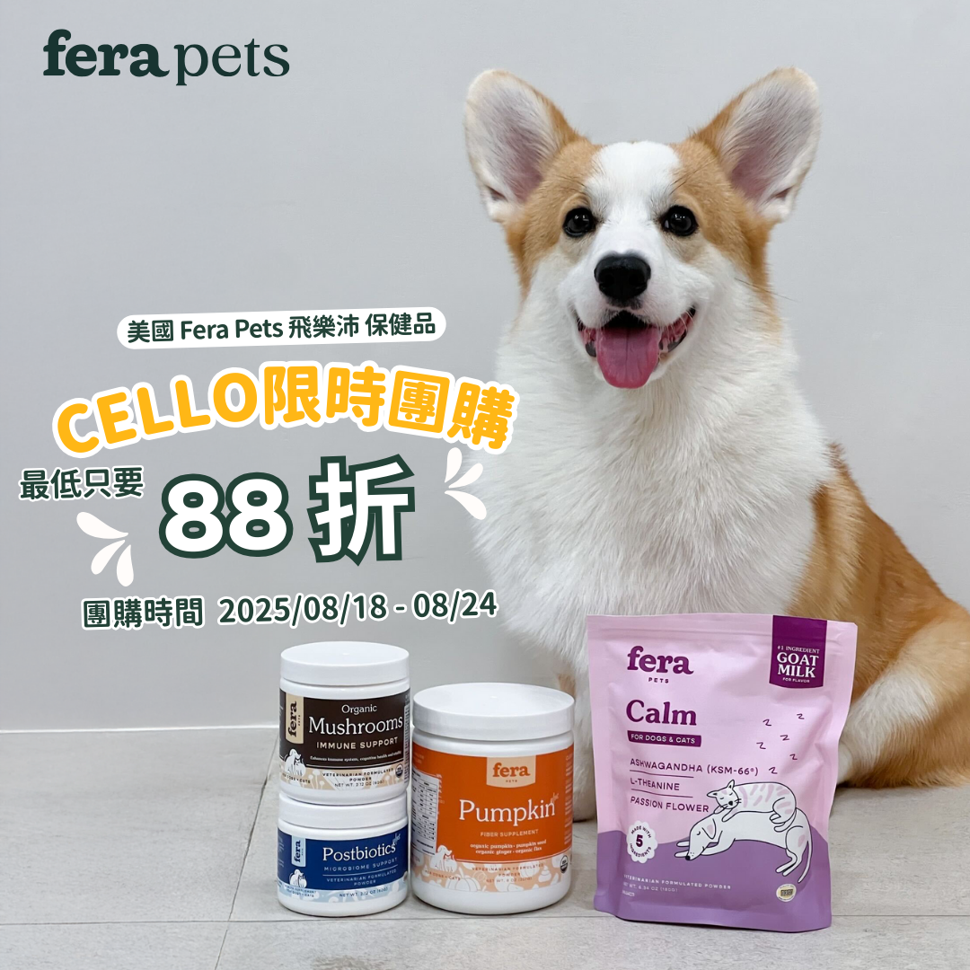 Cello ✨精選組合✨