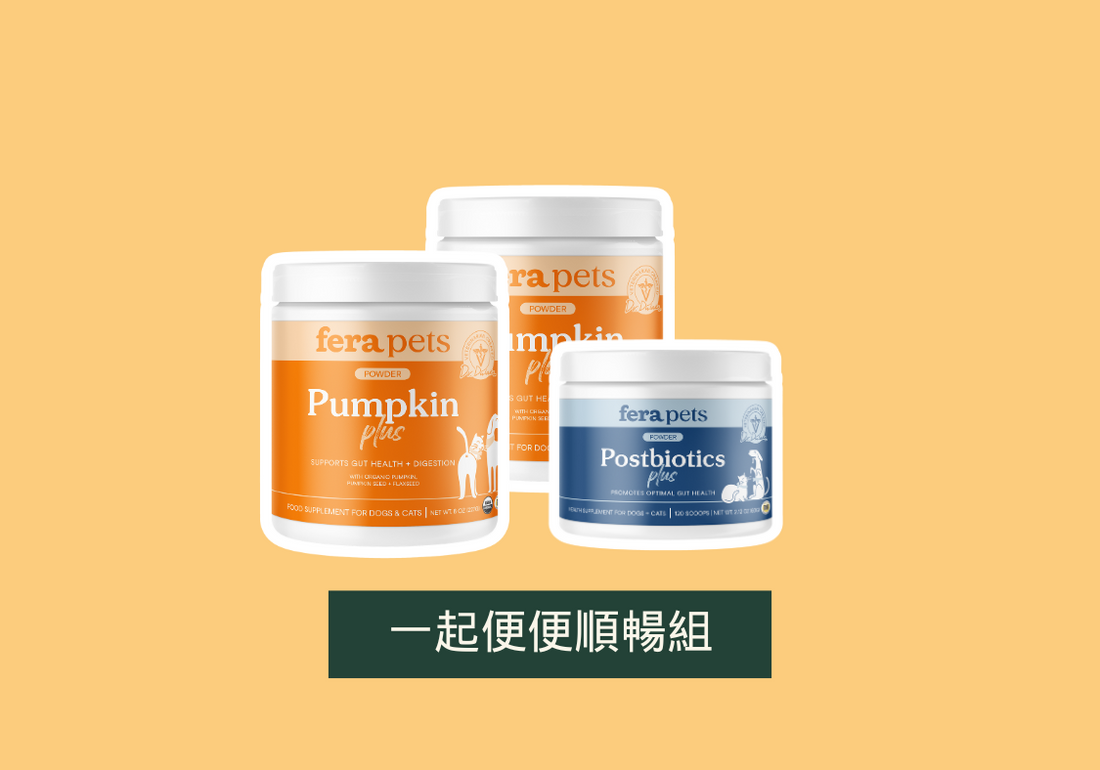 「一起便便順暢組」