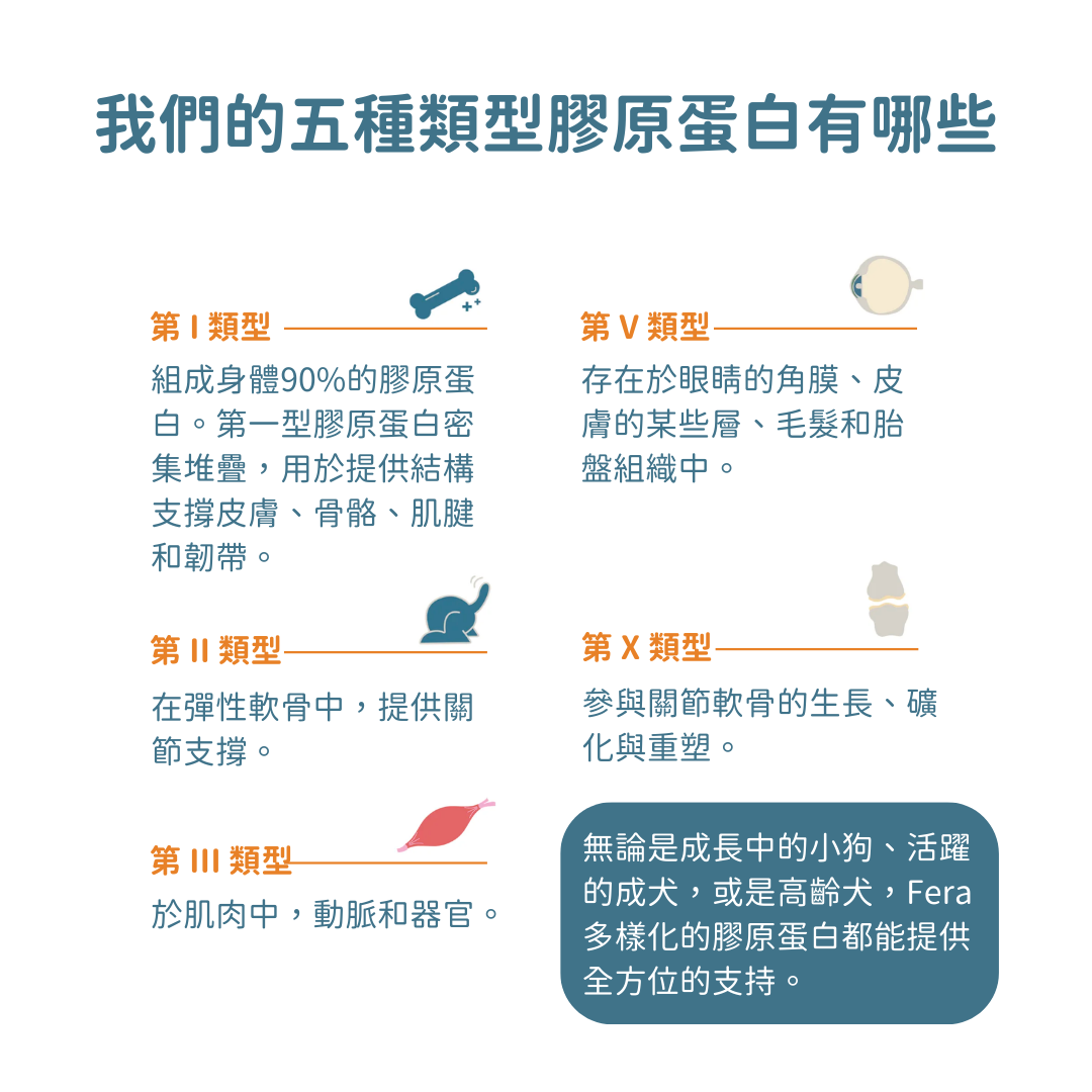 UC-II® 膠原蛋白關節保健+ (犬貓專用)