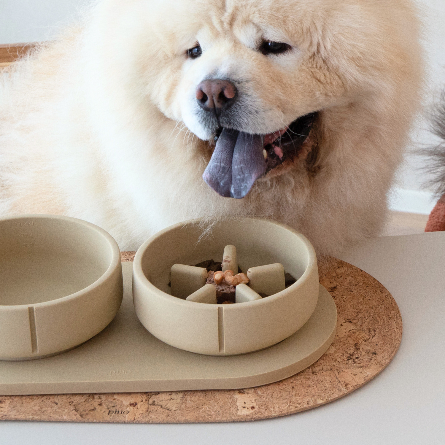 Pino Slow Feeder Bowls 極簡慢⻝碗