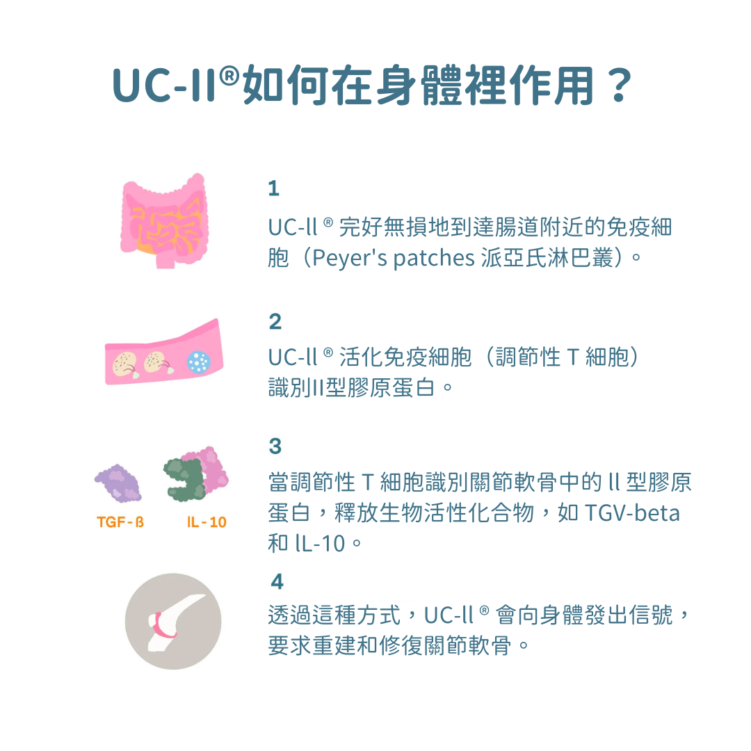 UC-II® 膠原蛋白關節保健+ (犬貓專用)