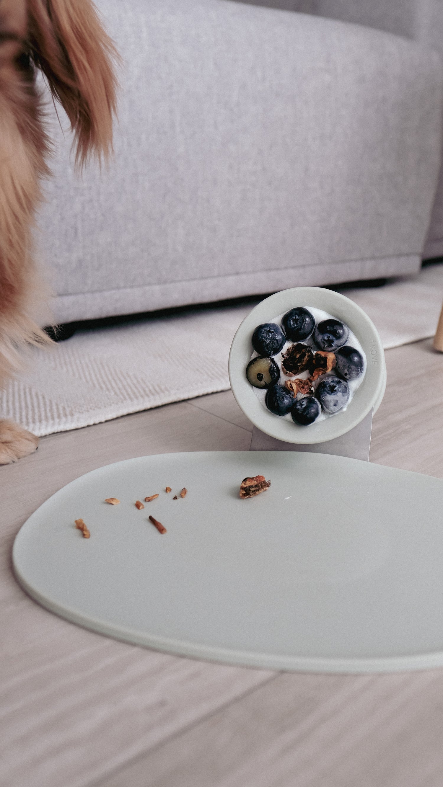 CHEWDEN 互動式慢食咀嚼座 - 舔舔碗組合