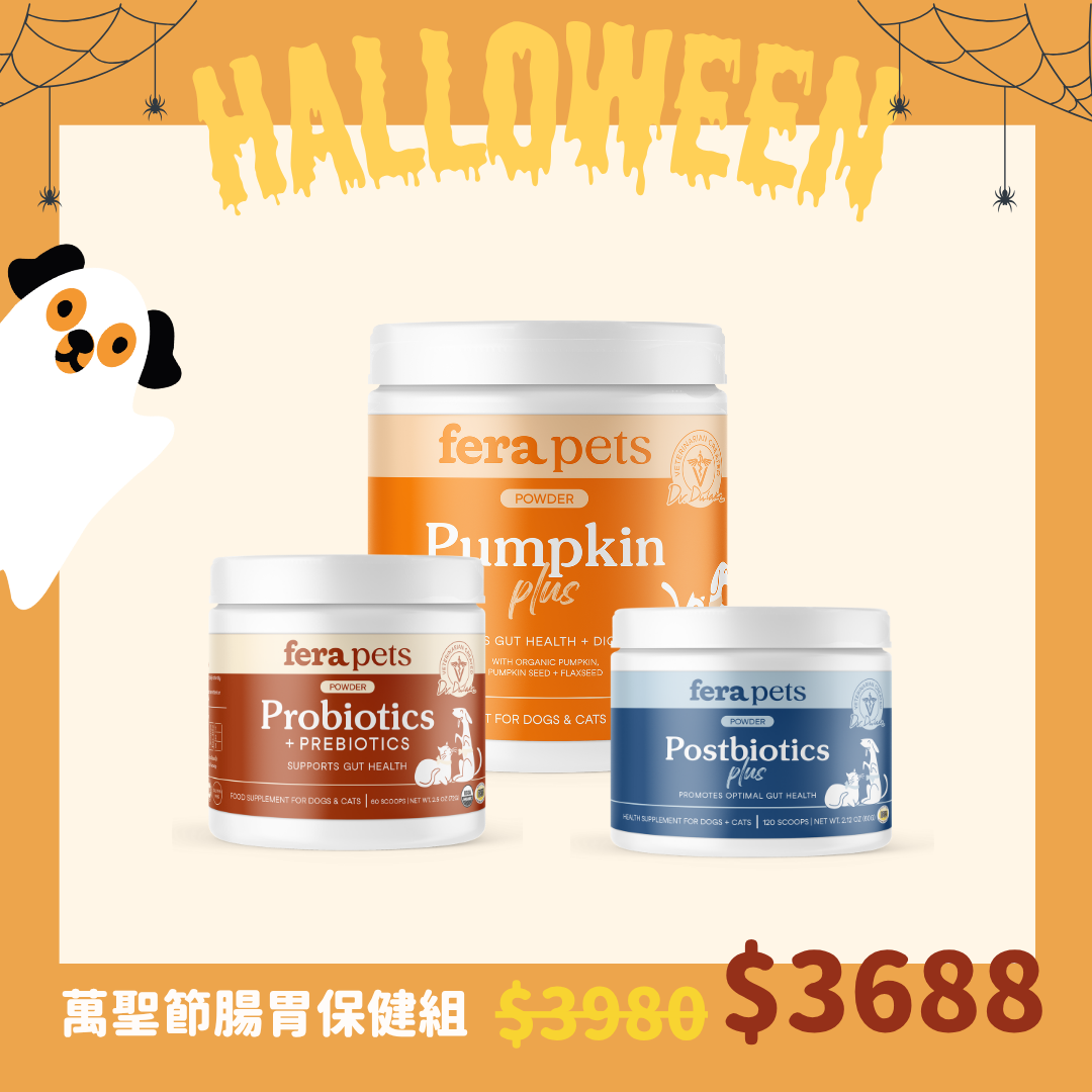 Tummy upset set for doggie