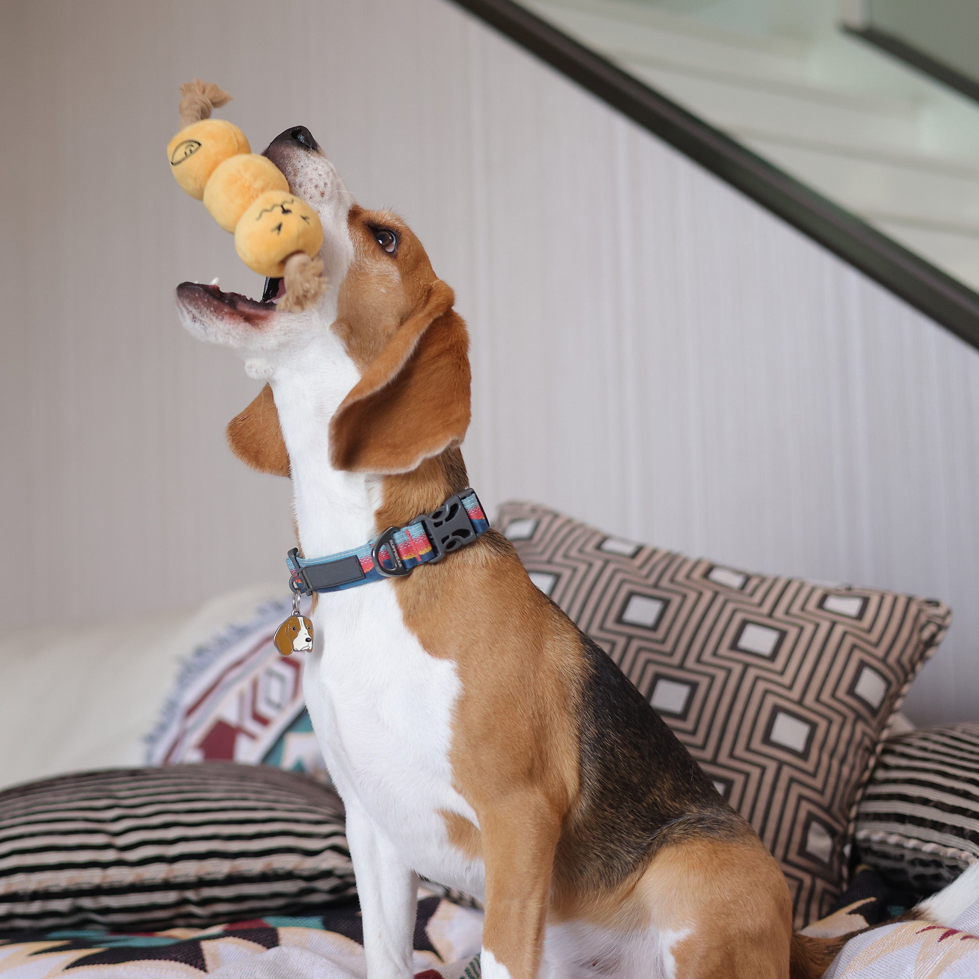 Woof² Curry Fishball Pet Toys 咖哩魚蛋寵物玩具