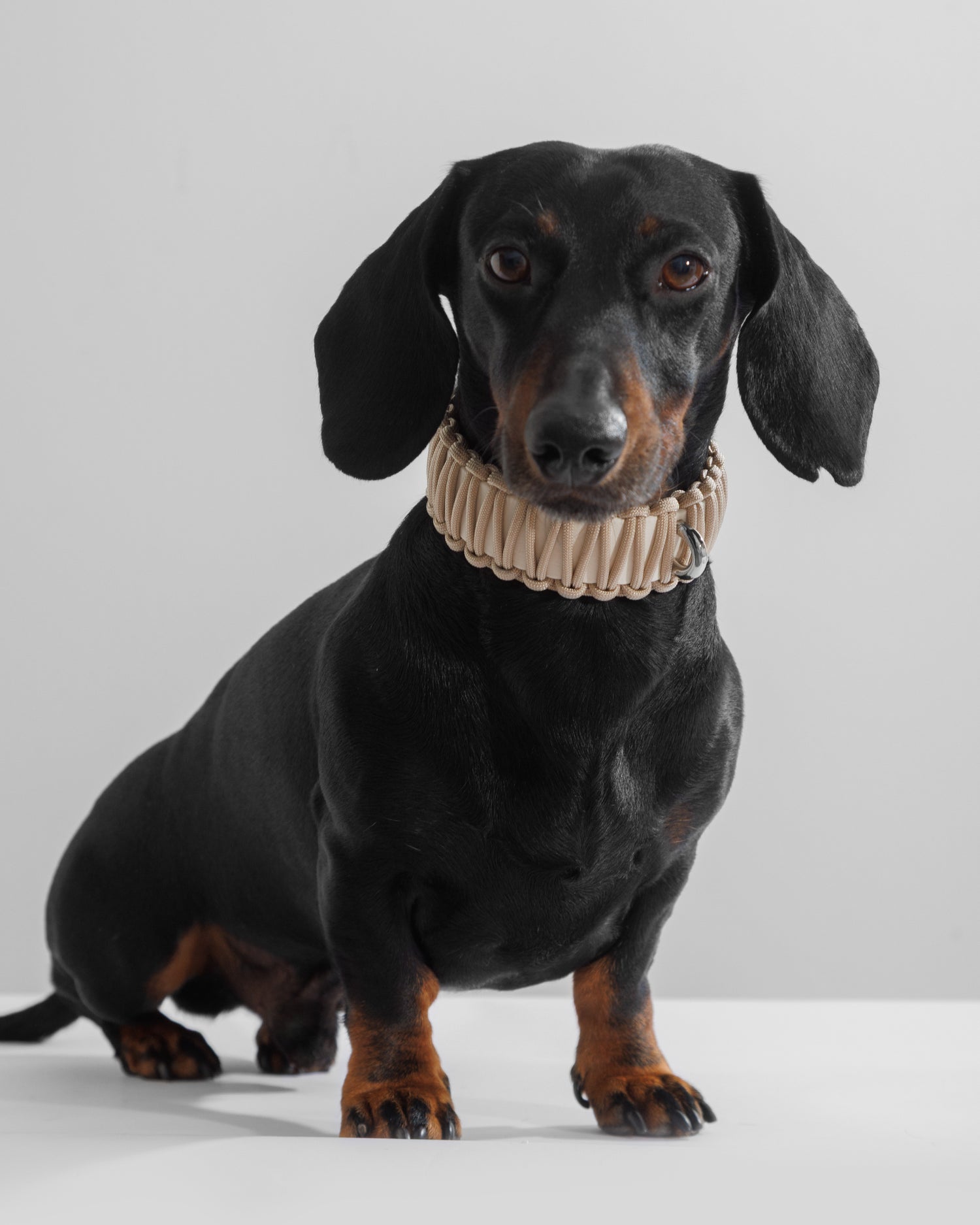 VALKA KUKUR - GALAN 項圈 - Bone 骨白