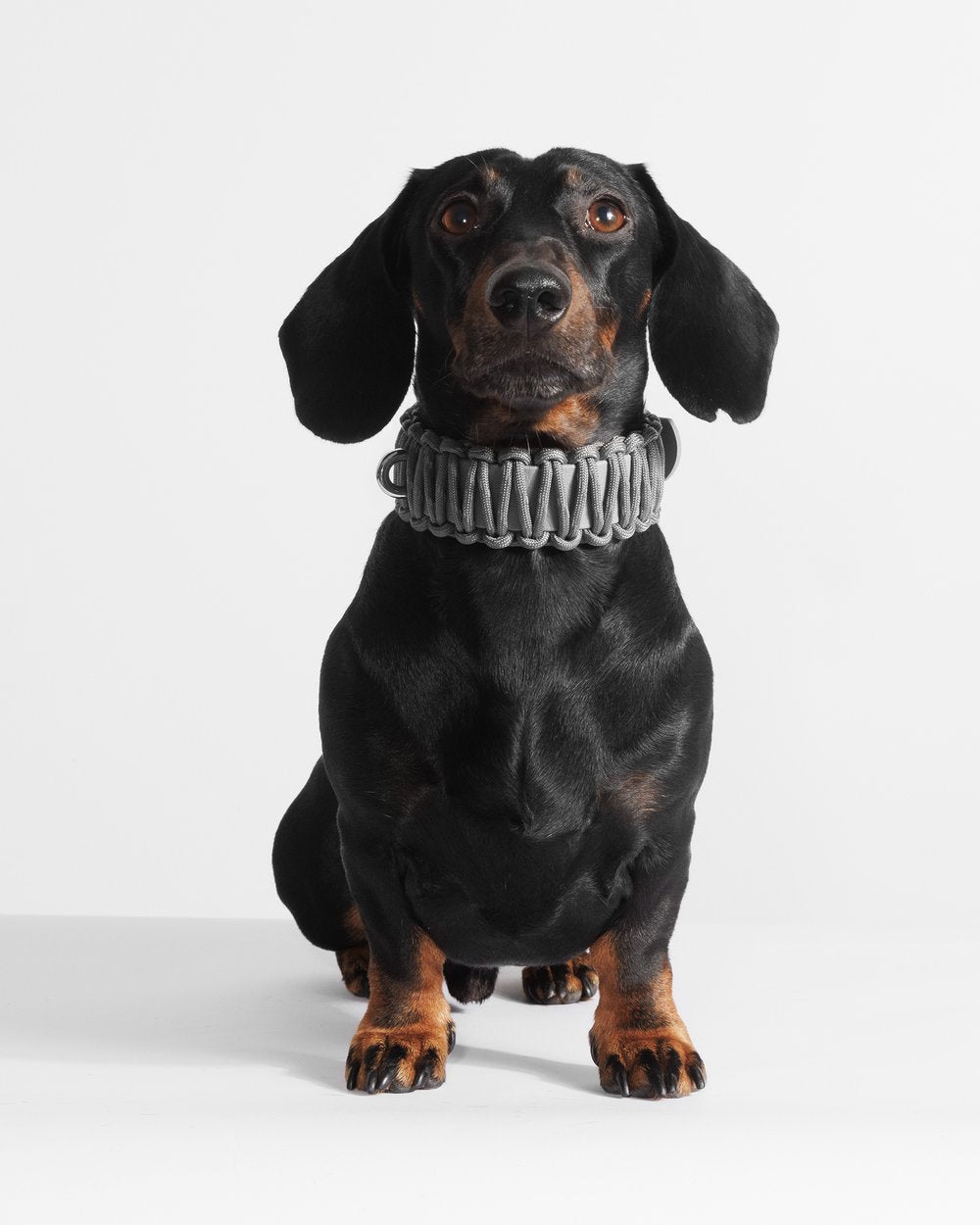 VALKA KUKUR - GALAN 項圈 - Werewolf Gray 狼灰色