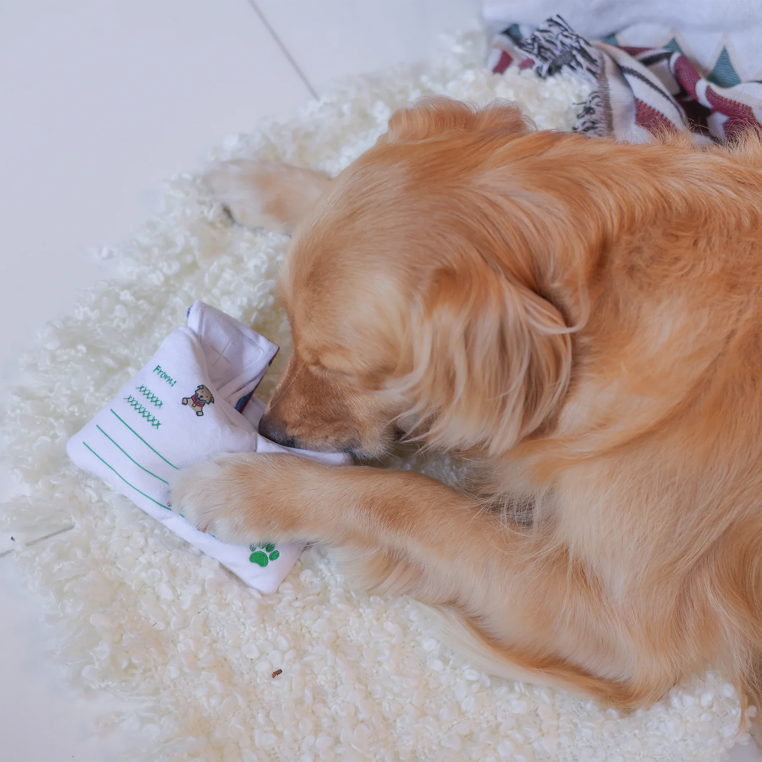 Woof²  香港空郵信件藏食毛絨寵物玩具