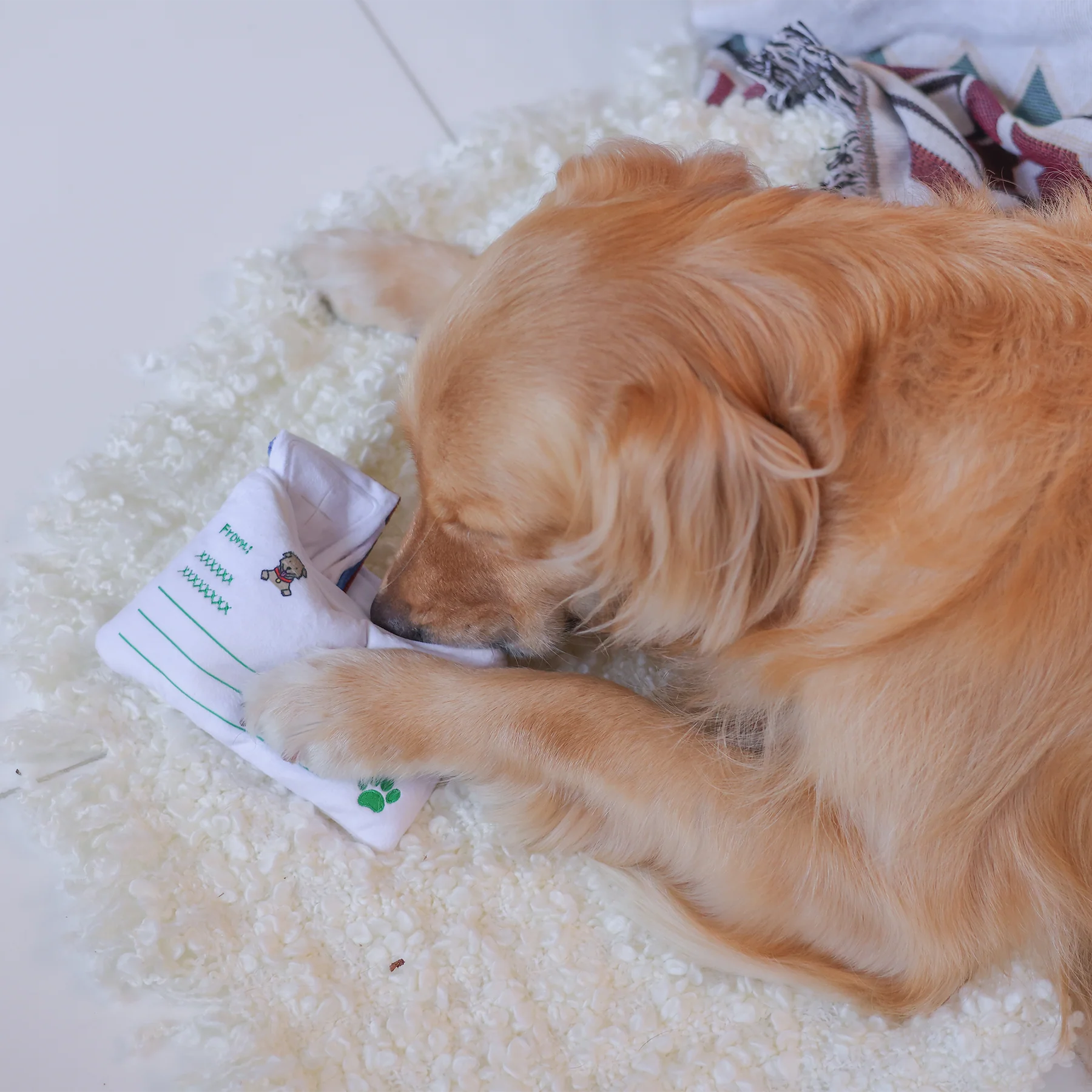 Woof² 香港空郵信件藏食毛絨寵物玩具