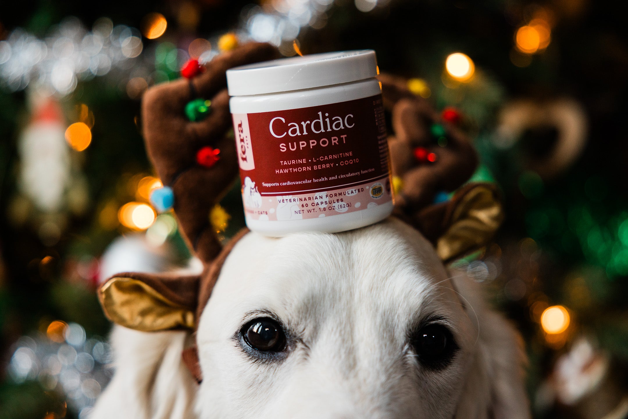 心臟保健 CoQ10+牛磺酸寵心配方 (犬貓專用)