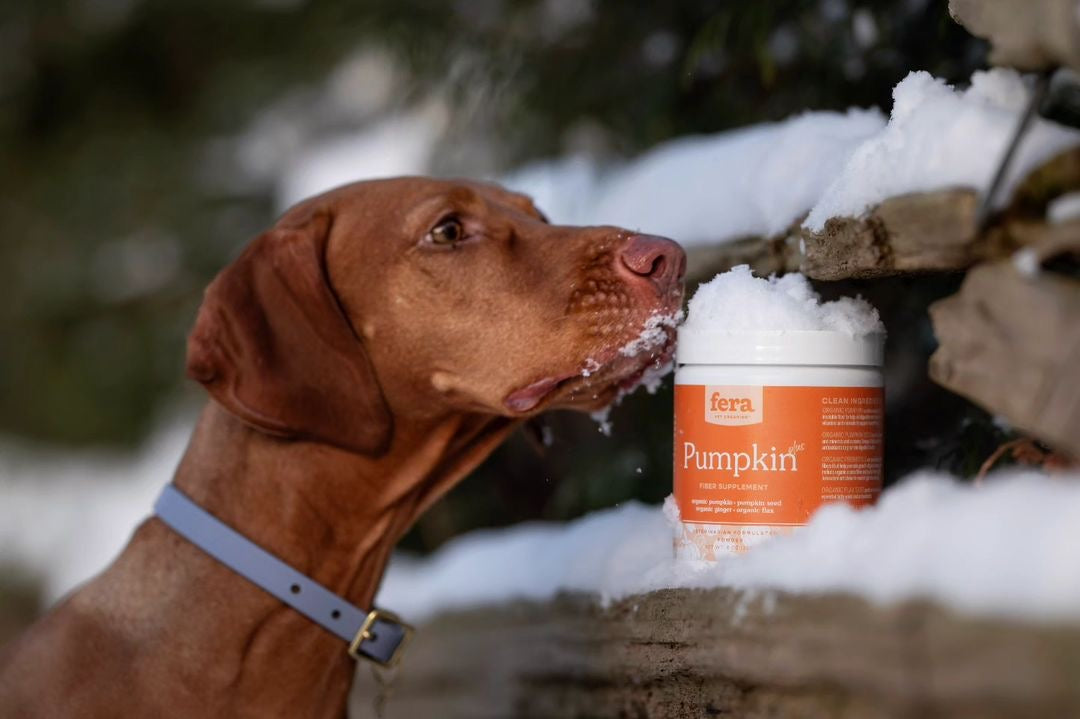 USDA Organic 有機6種蔬果南瓜纖維素(犬貓專用)