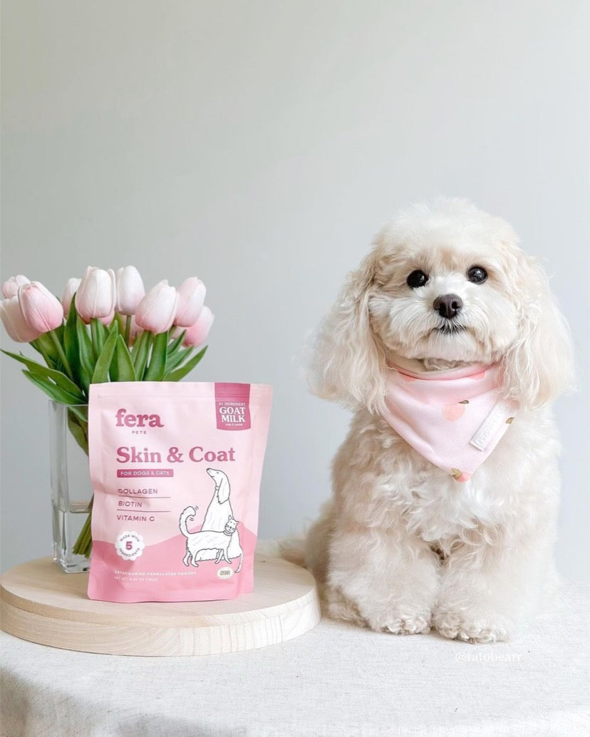 羊樂多系列 - 非常漂亮 (皮毛保養)