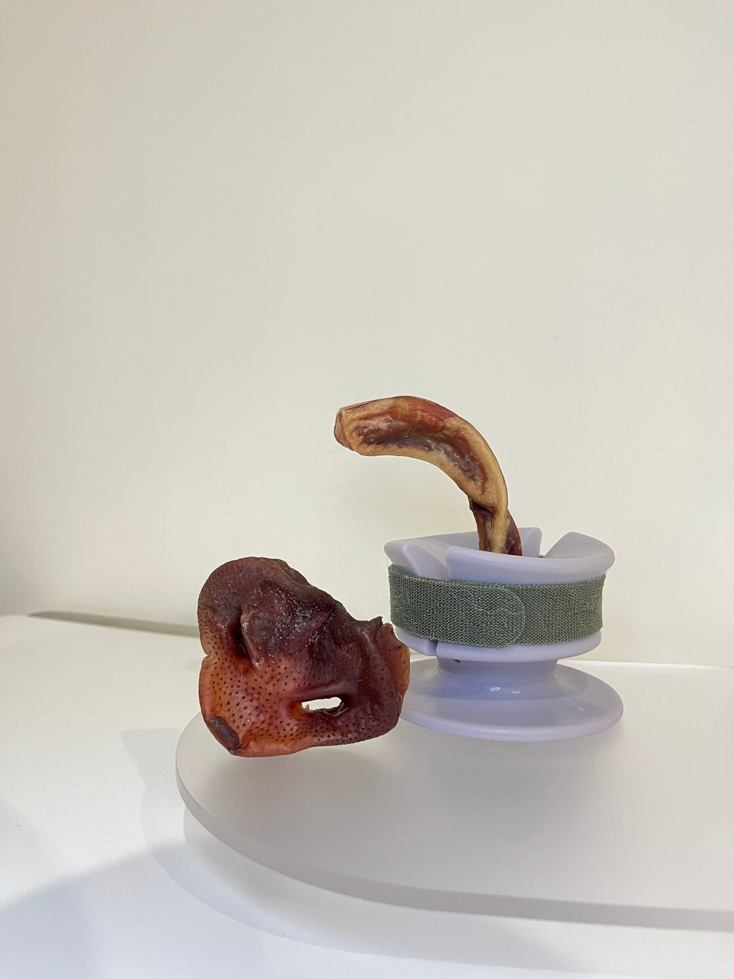 【King器】Chew啃|零食單品販售區