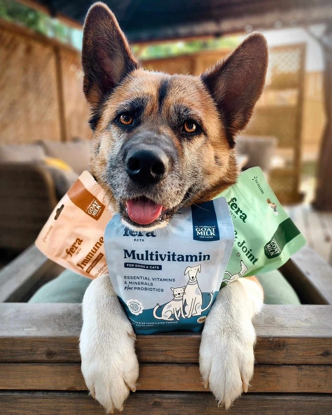 羊樂多系列 - 非常好命 (全齡綜合維他命)