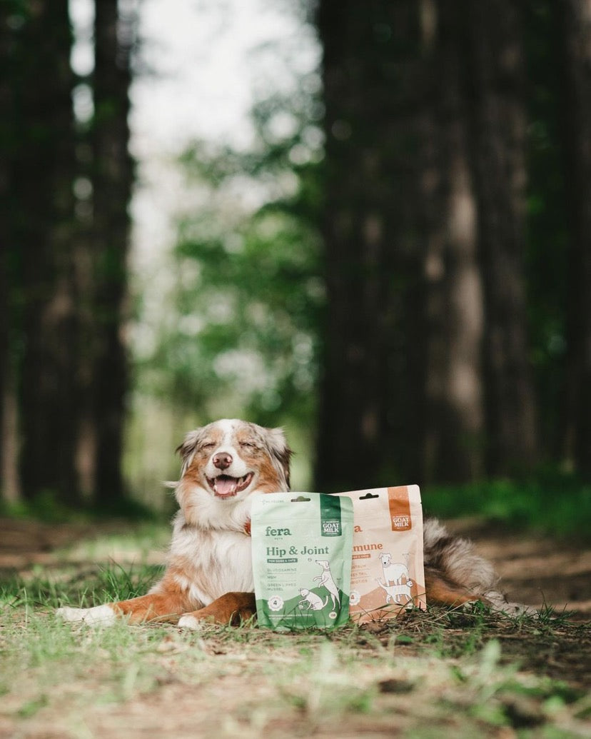 羊樂多系列 - 非常好動(關節保健)