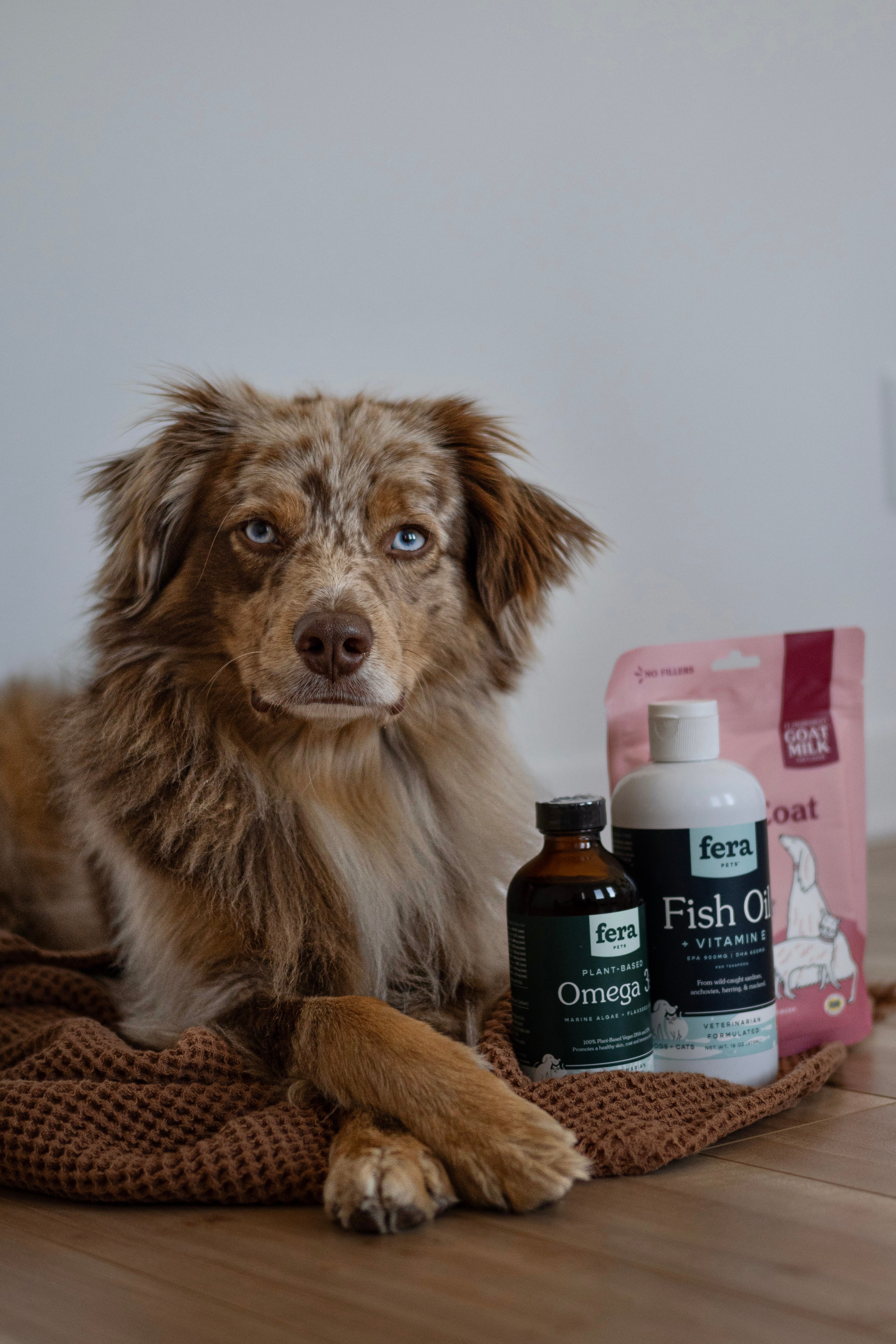 純素海藻油 Vegan Omega-3、6、9s (犬貓專用)