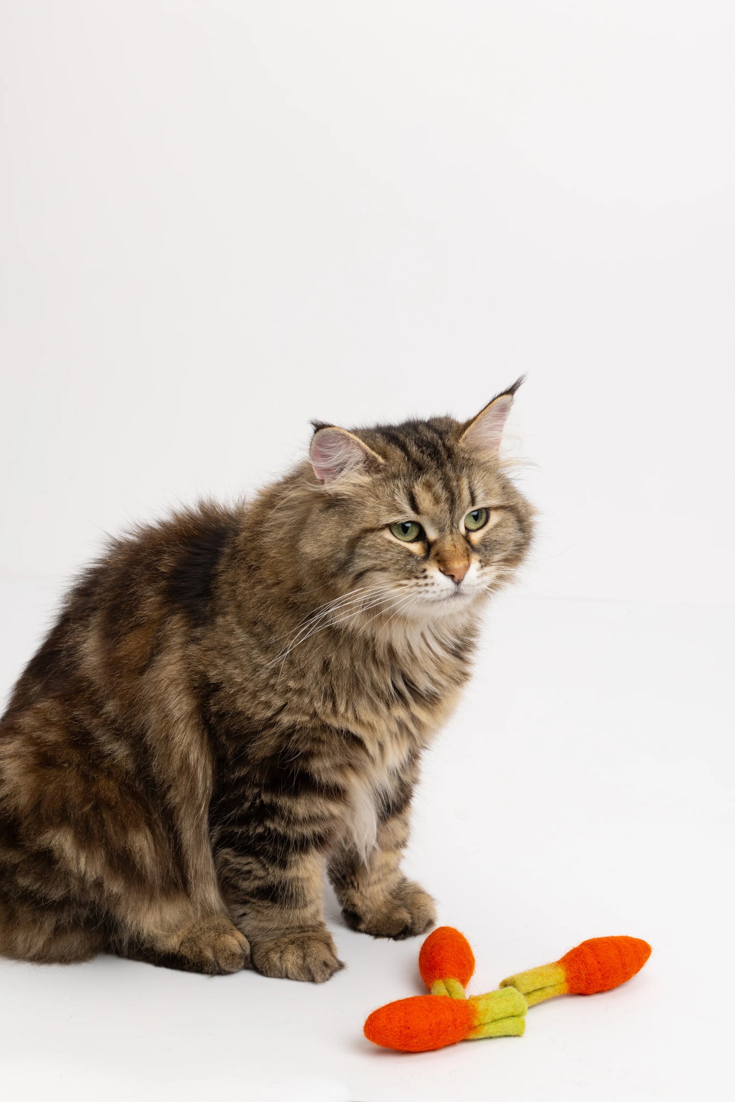 The Three Carrot 三個小小胡蘿蔔 羊毛氈貓咪玩具