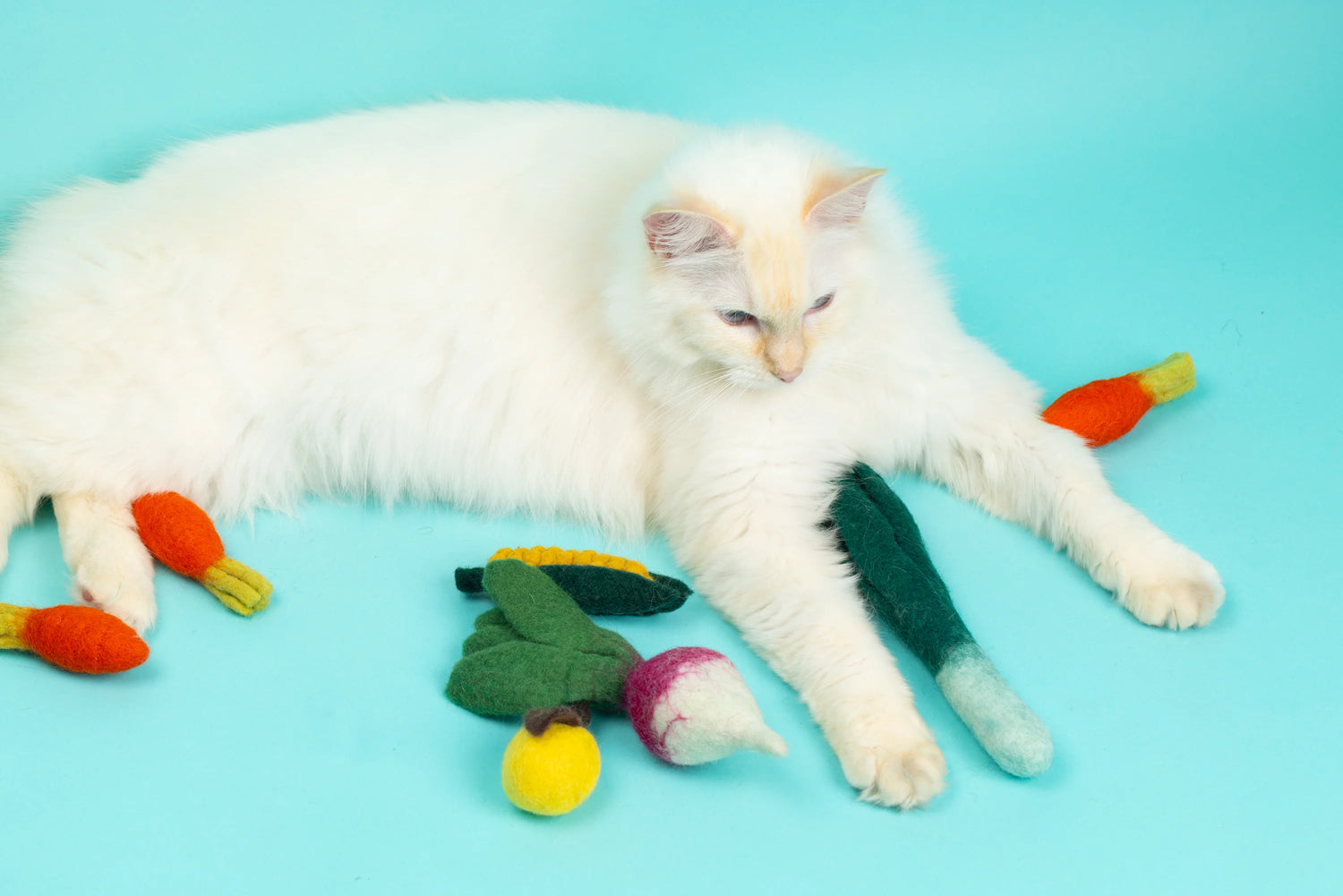 The Three Carrot 三個小小胡蘿蔔 羊毛氈貓咪玩具