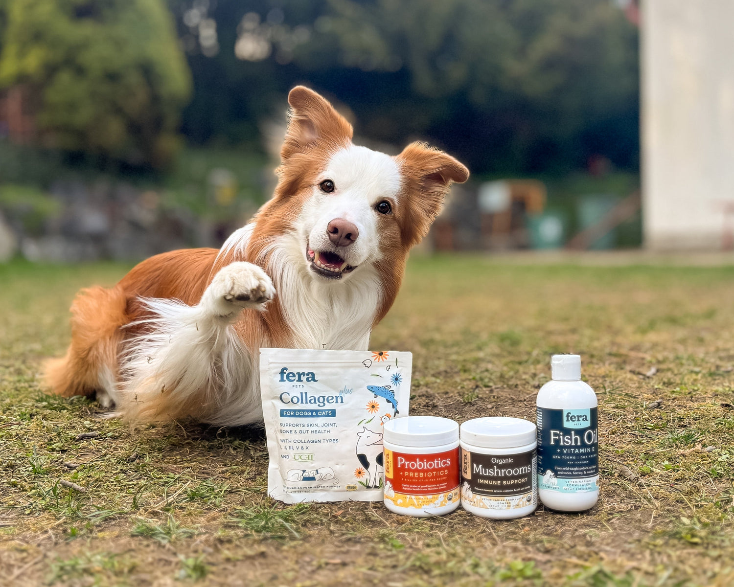 goldenpartner product group Fera Pets 與狗共舞布布