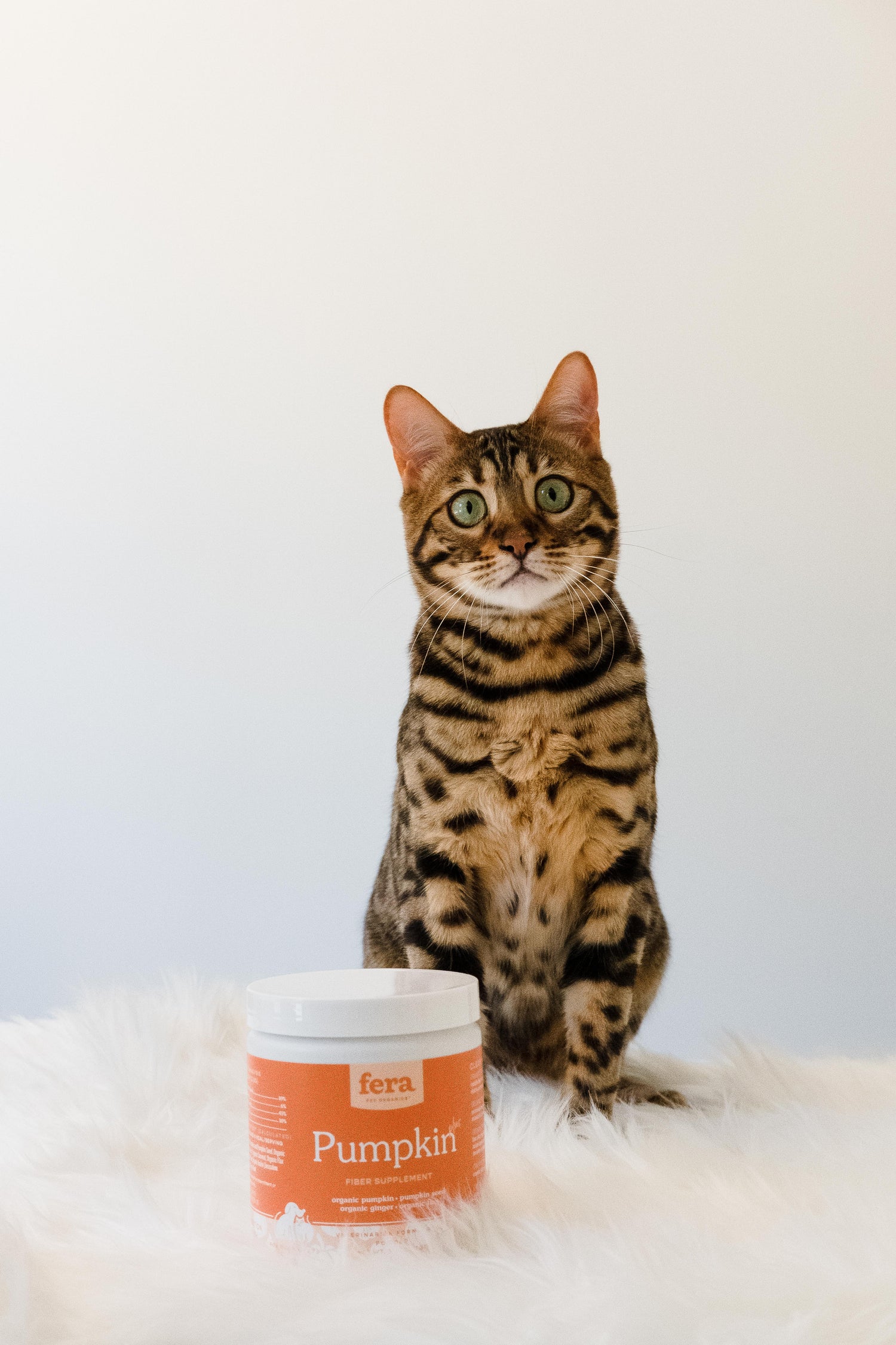 USDA Organic 有機6種蔬果南瓜纖維素(犬貓專用)