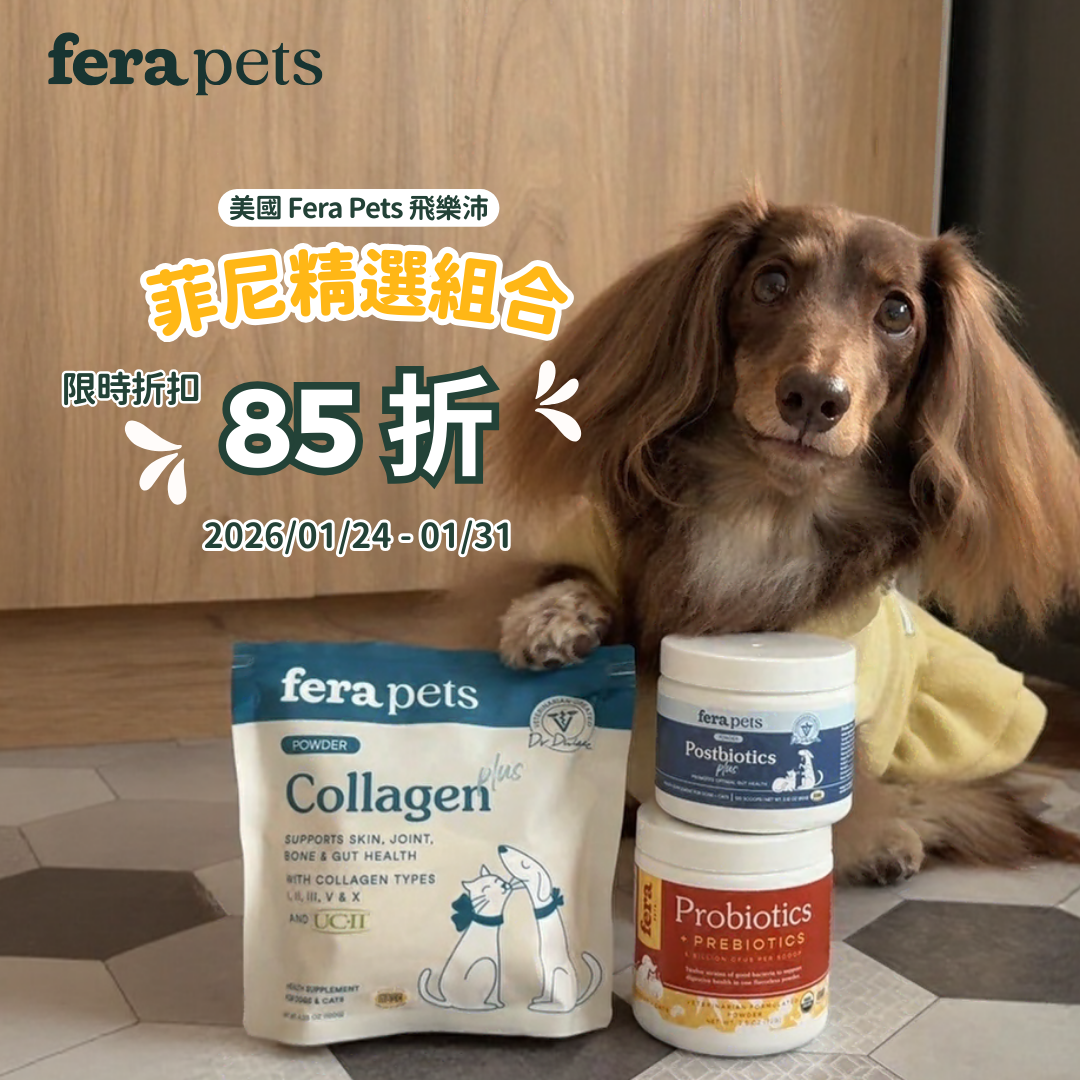 菲尼愛用組合 ✨