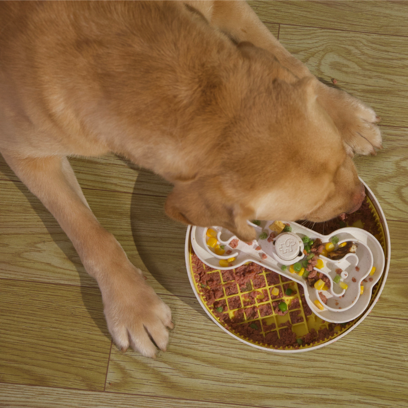 Puzzle Lick Bowl 旋轉拼圖多功能環保舔食碗