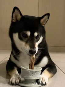 Lunoji 『滾動咬咬組』