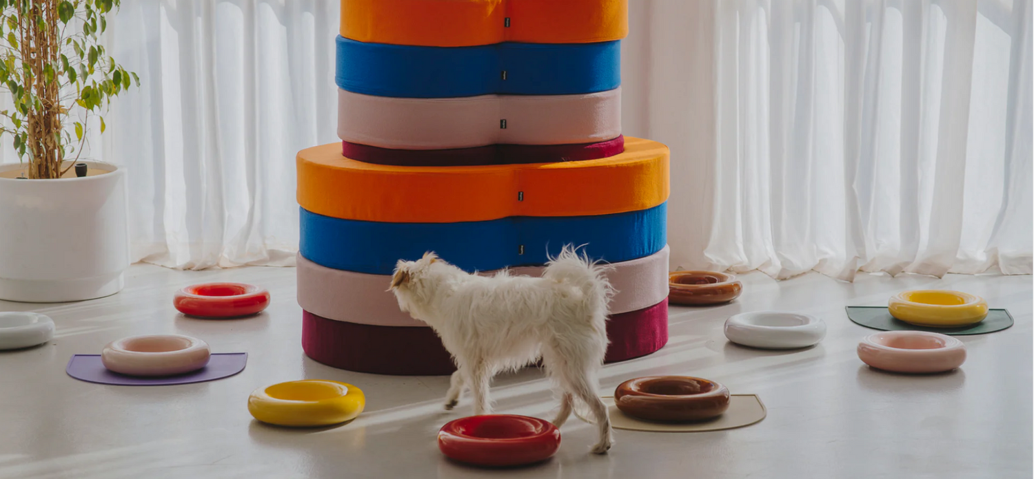 HOT DOG|寵物陶瓷碗