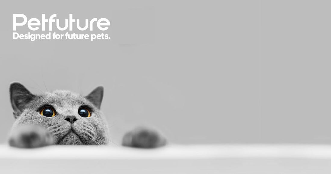 PETFUTURE 貓咪電子智能玩具