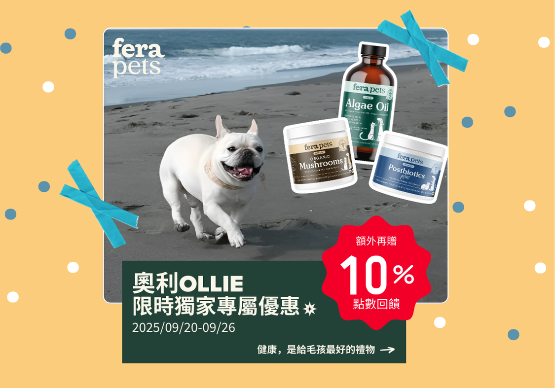 09/20-09/26 ✨ 奧利Ollie - 限時獨家專屬優惠✨