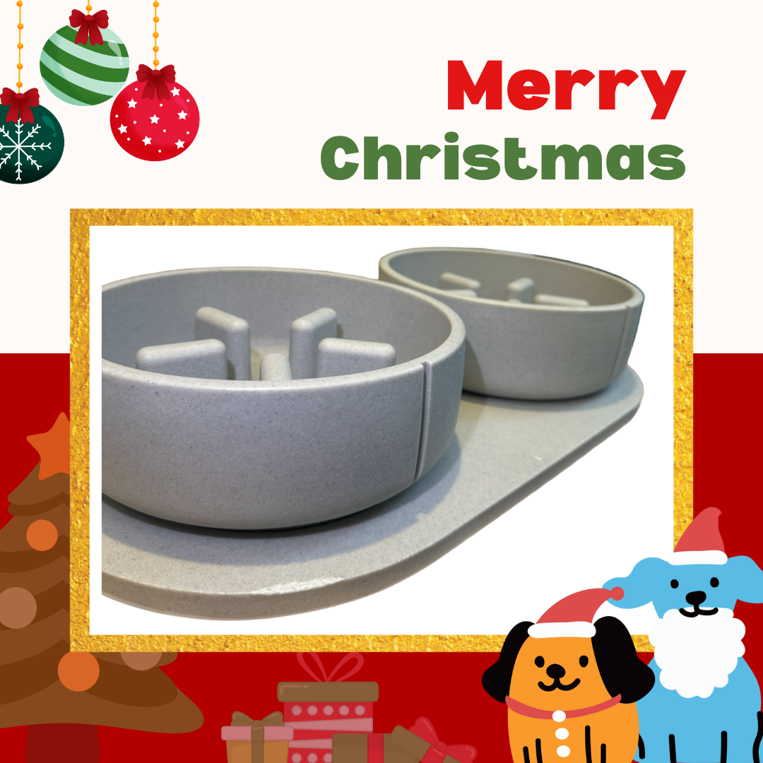 PINO聖誕組合｜雙慢食碗＋托盤（海豚灰L)