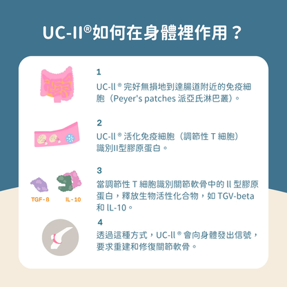 UC-II® 膠原蛋白關節保健+ (犬貓專用）