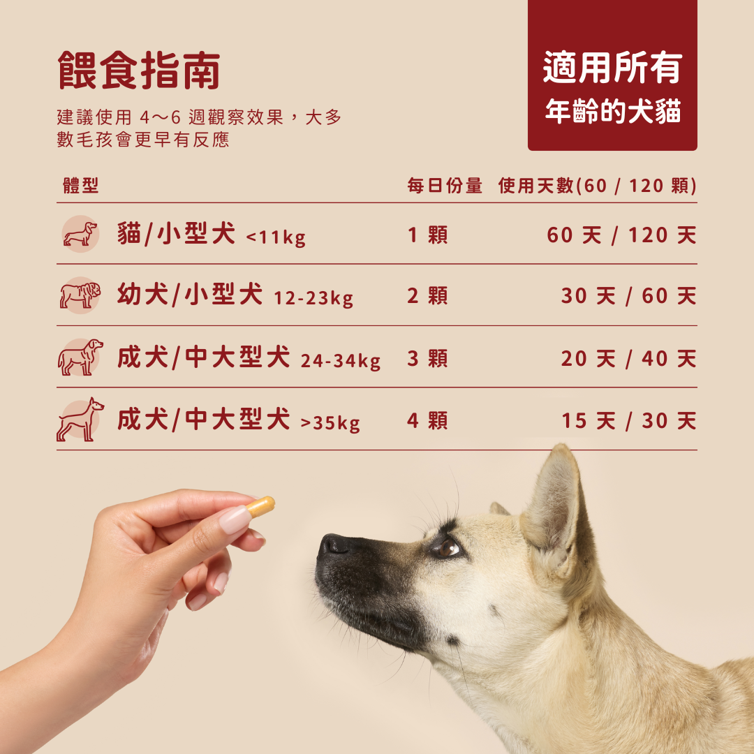 心臟保健 CoQ10+牛磺酸寵心配方  （犬貓專用）