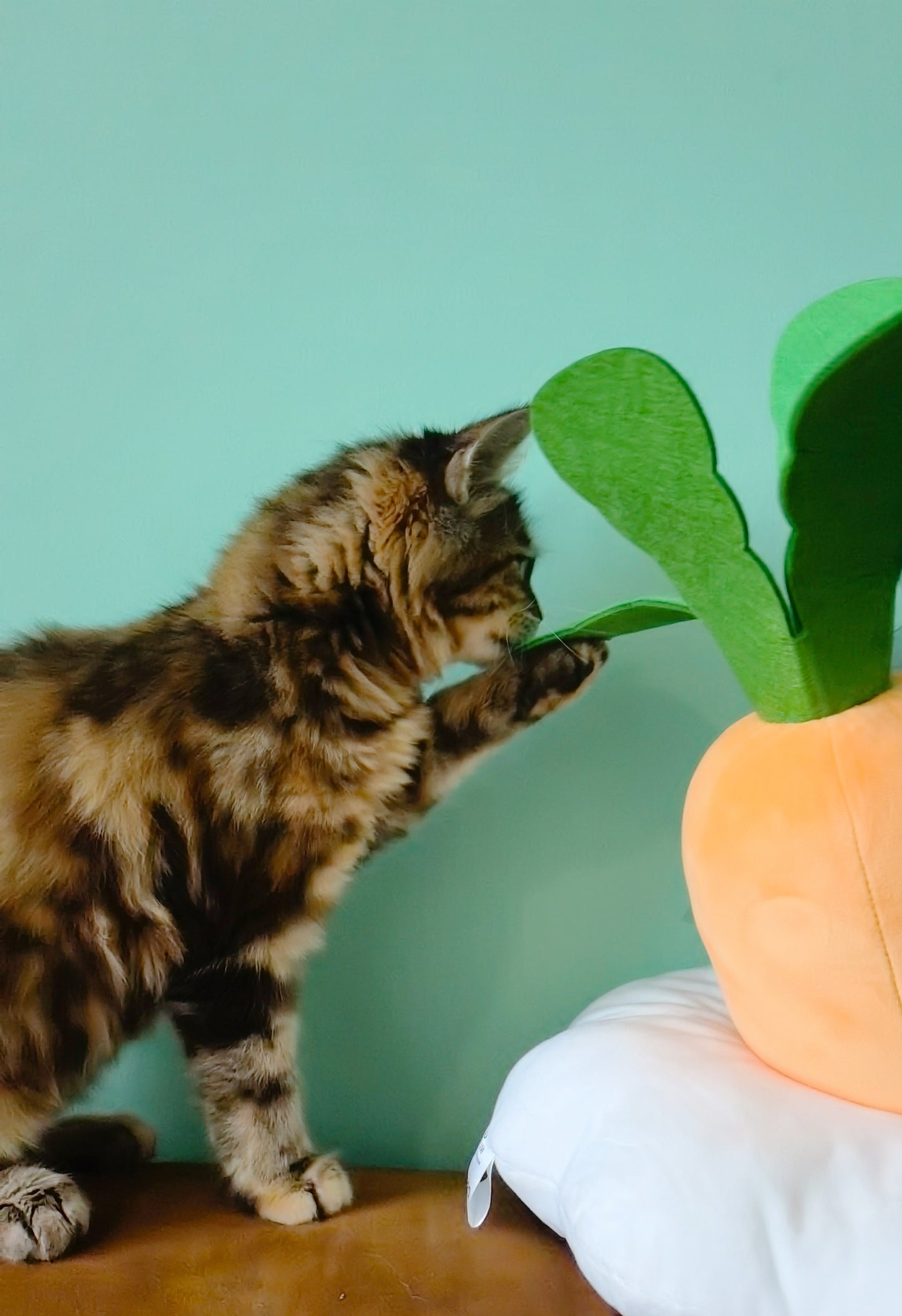 FLUFFY CARROT 軟綿綿紅蘿蔔