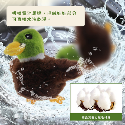 自動逗貓拍拍綠頭鴨 Flappy Duck