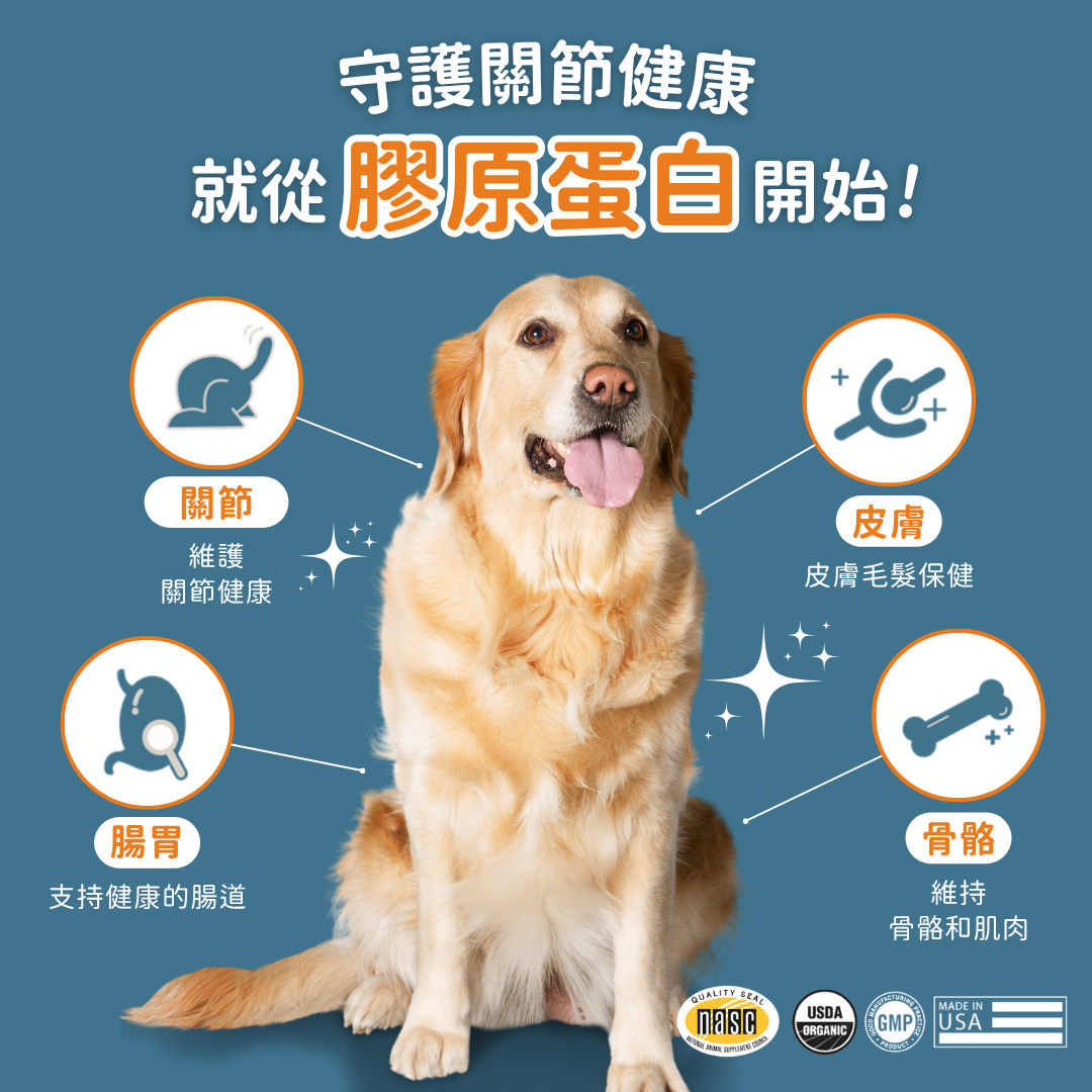 UC-II® 膠原蛋白關節保健+ (犬貓專用）