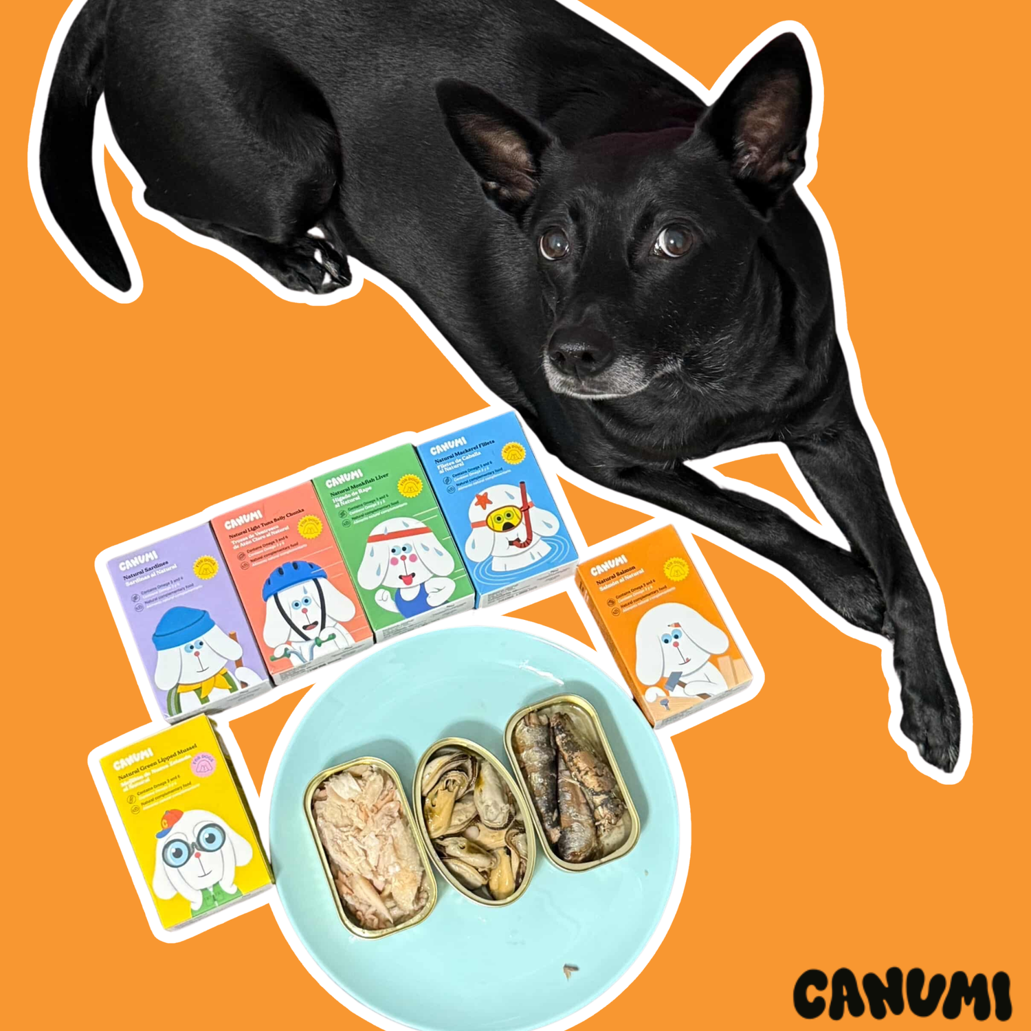 ✦馬雞推薦海鮮好滿組✦