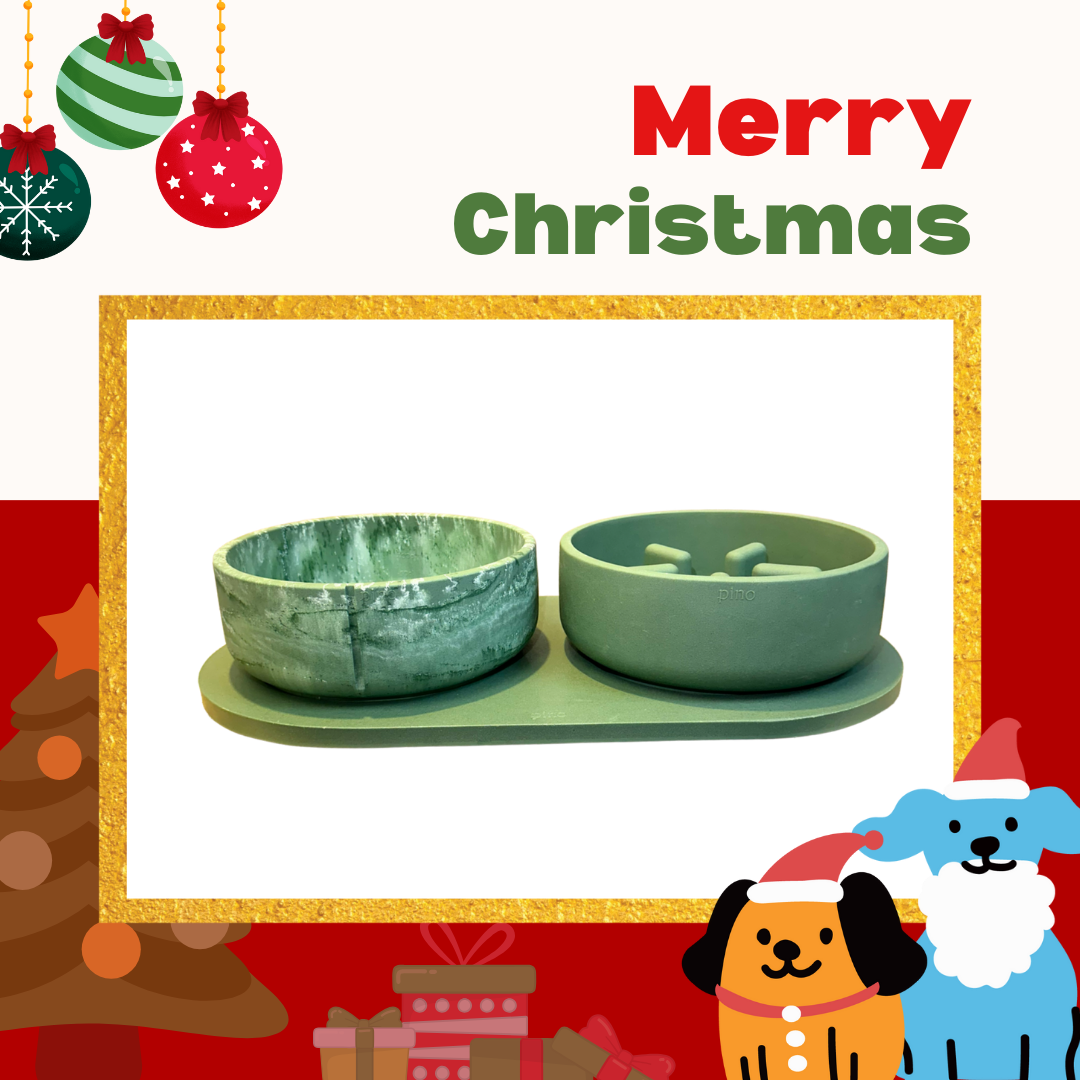 PINO聖誕組合｜主食碗＋慢食碗＋托盤（鴨綠L)
