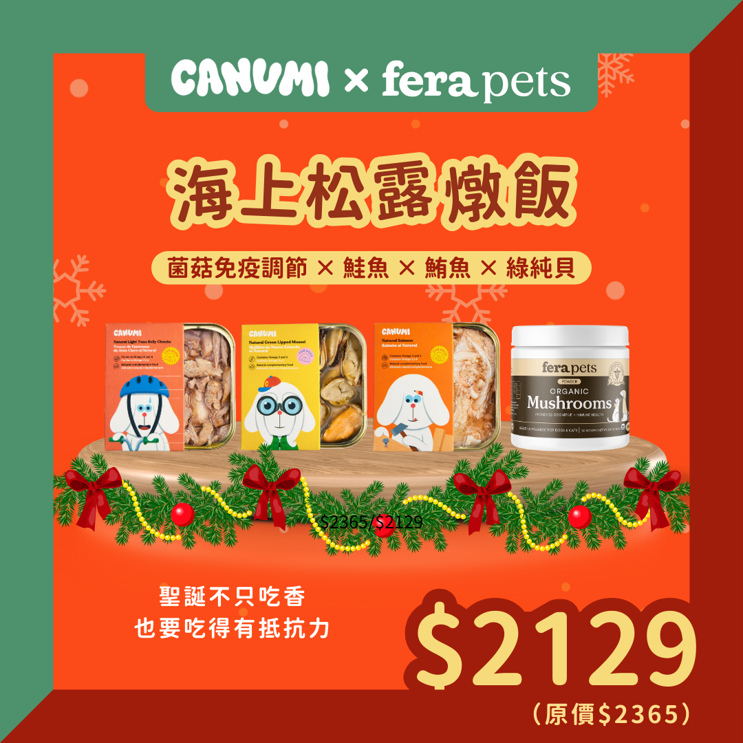 海上松露燉飯組