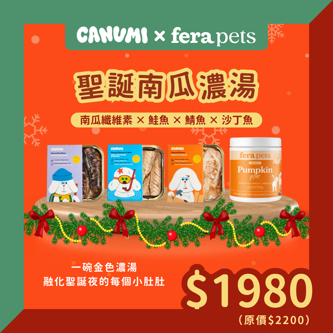 聖誕南瓜濃湯組