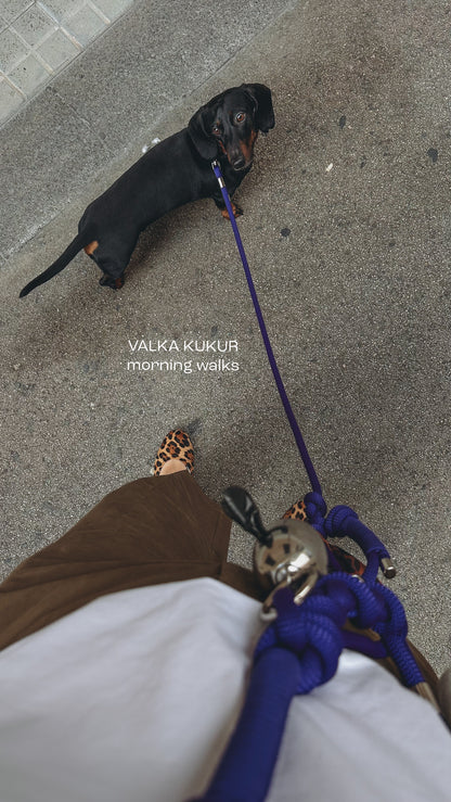 Bold系列牽繩組 - 紫 Purple