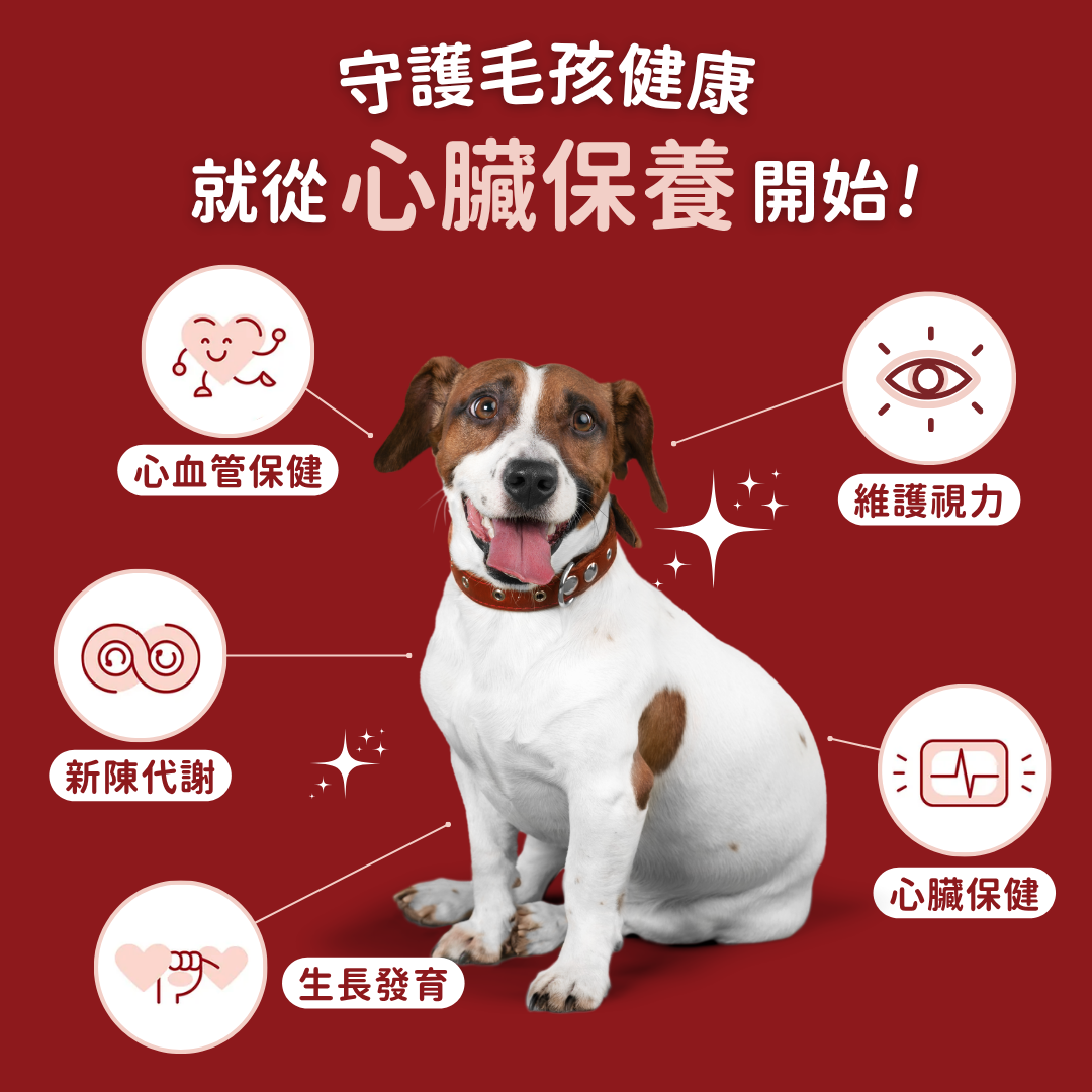 心臟保健 CoQ10+牛磺酸寵心配方  （犬貓專用）